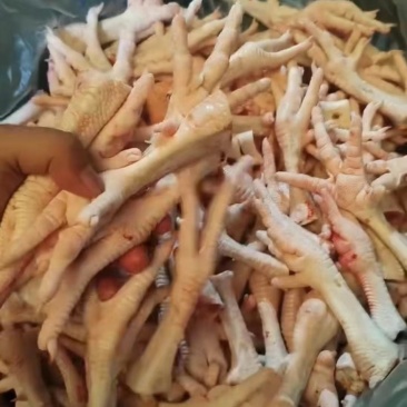 【分割品系列】鸡鸭分割品大量供应，每天新鲜合适的联系我