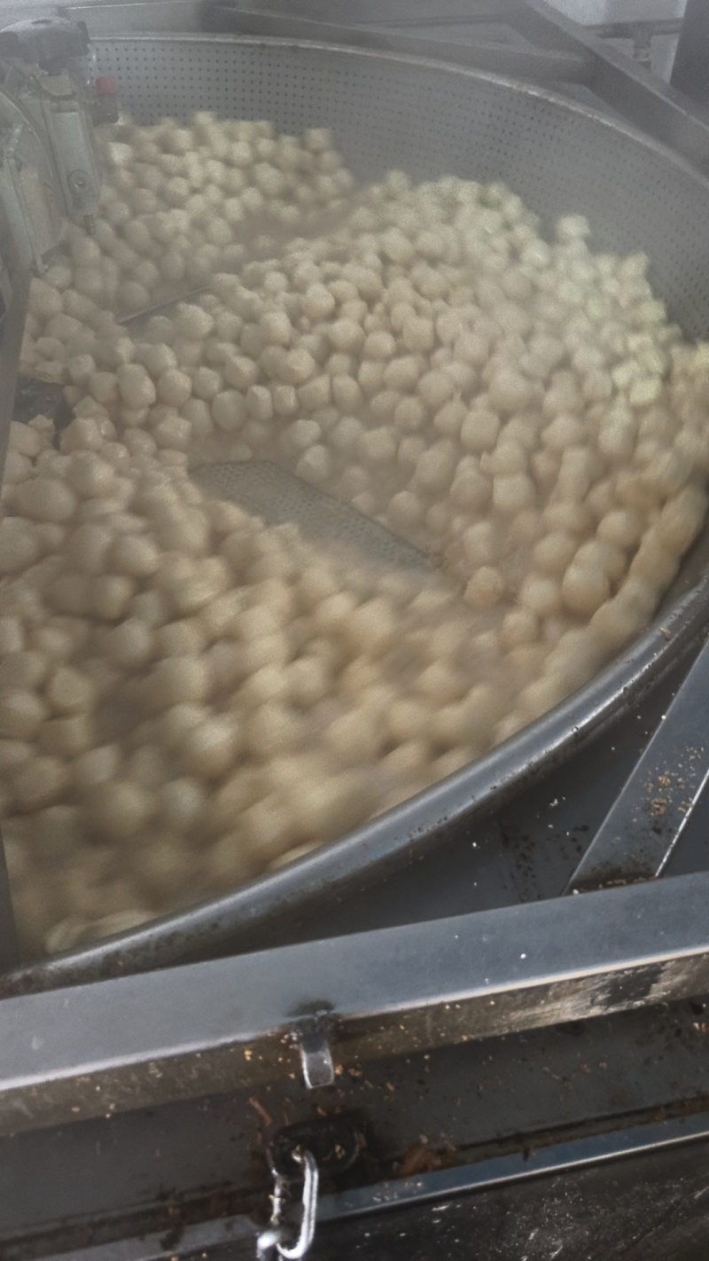 豆泡，三河豆片