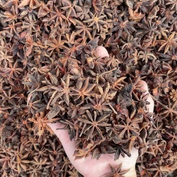 足干，中大个子，过筛纸箱包装