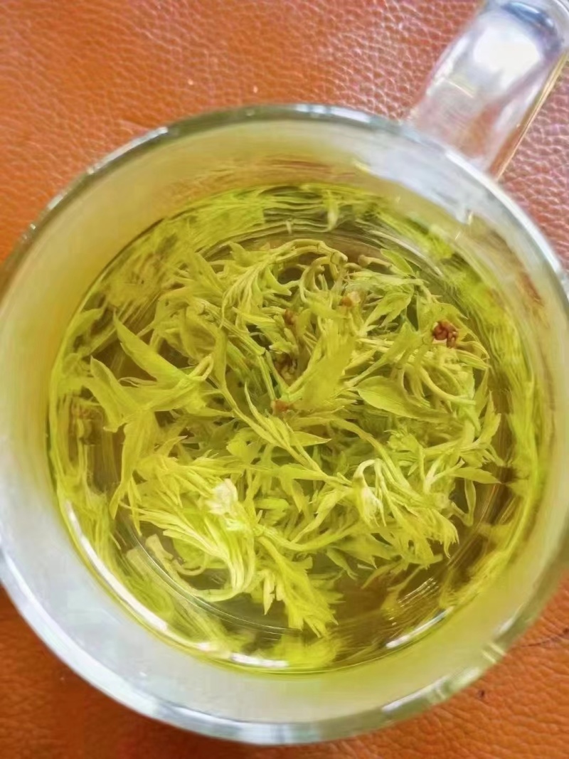 藤茶