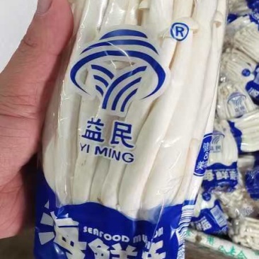 海鲜菇