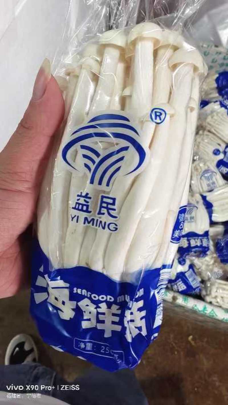 海鲜菇