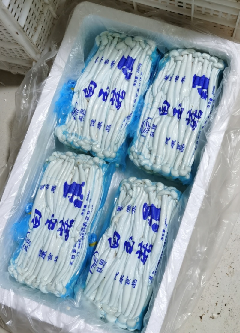 海鲜菇