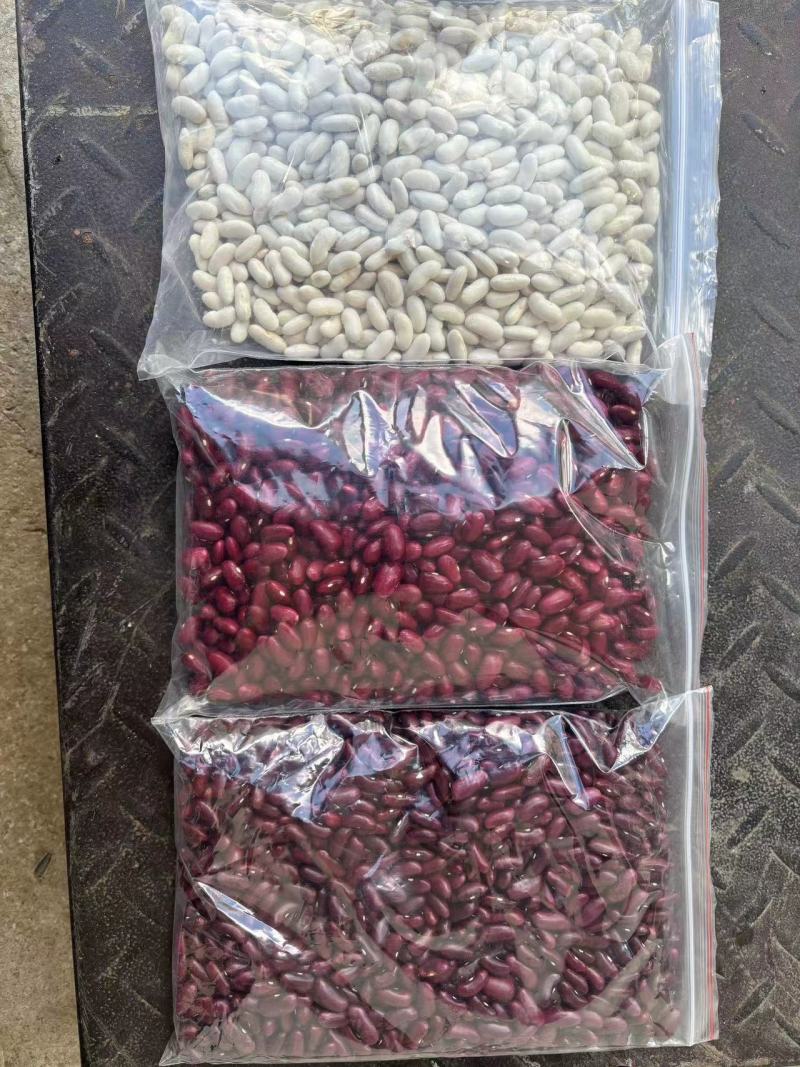 什么豆都有需要的联系我