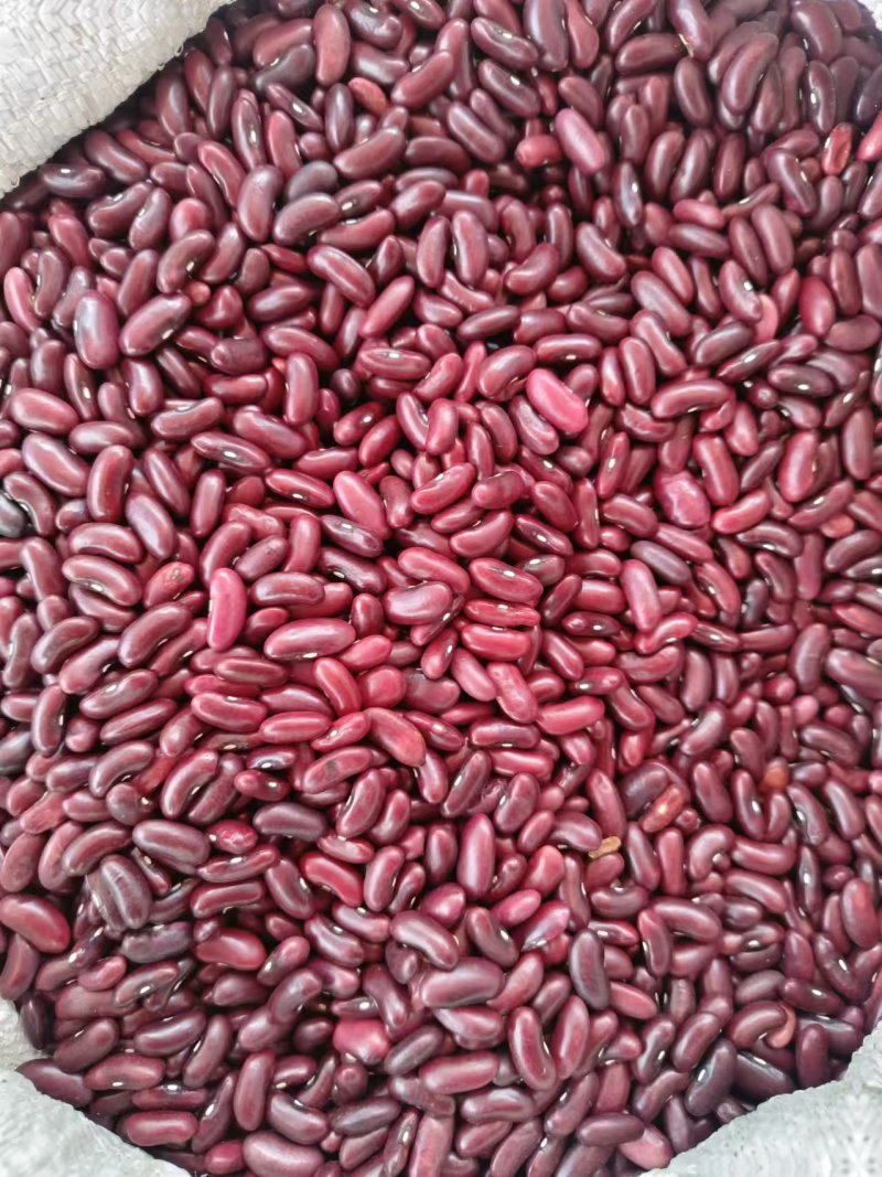 什么豆都有需要的联系我