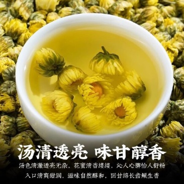 金丝皇菊北京菊苏北桃菊大阪婺源贡菊亳菊产地批发
