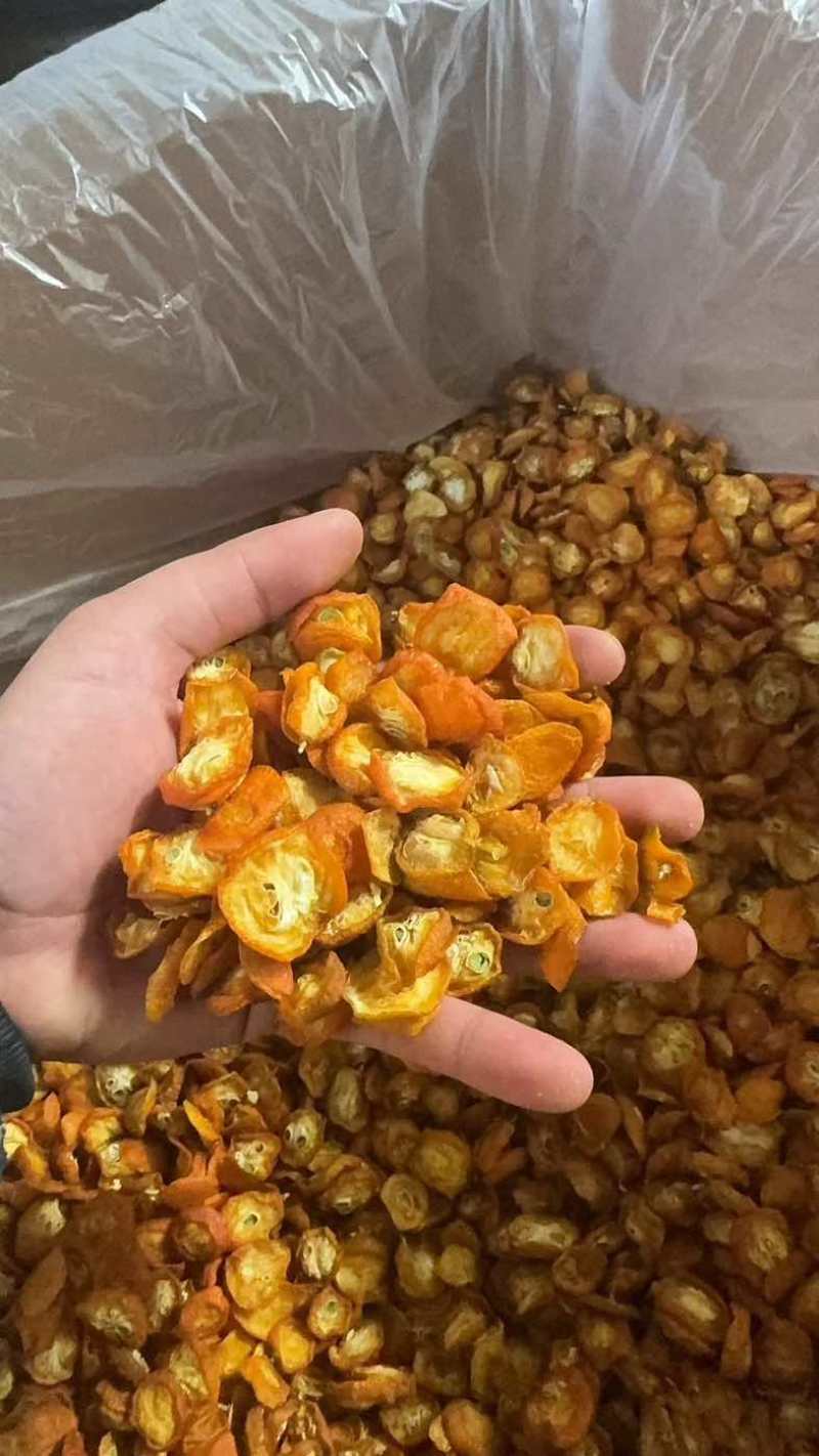 金桔片金桔丁冻干烘干产地直发