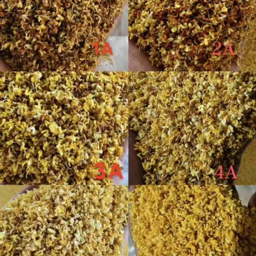 桂花干桂花茶批发产地直发冻干微波