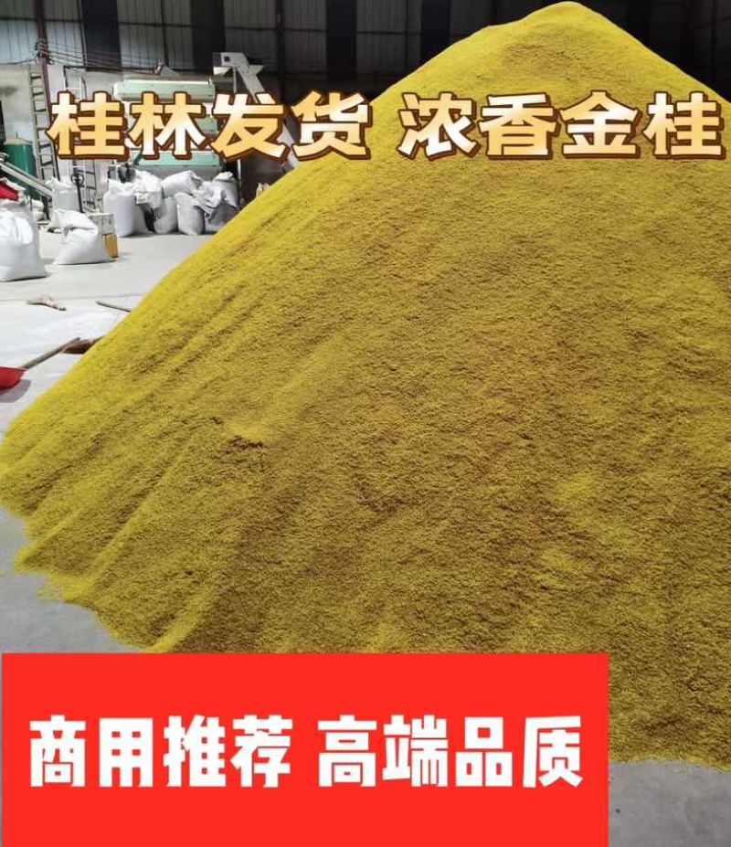 桂花干桂花茶批发价格实惠产地直销冻干微波