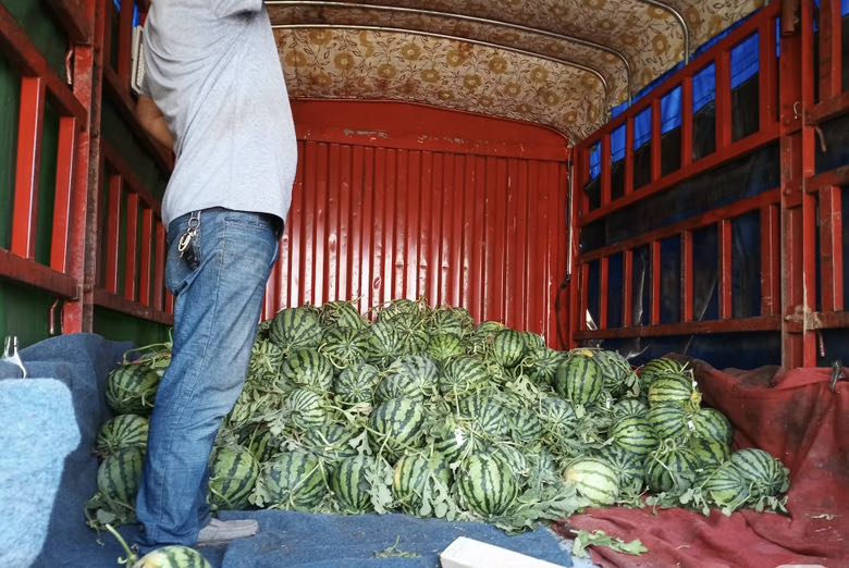 消费者在超市挑选美都西瓜