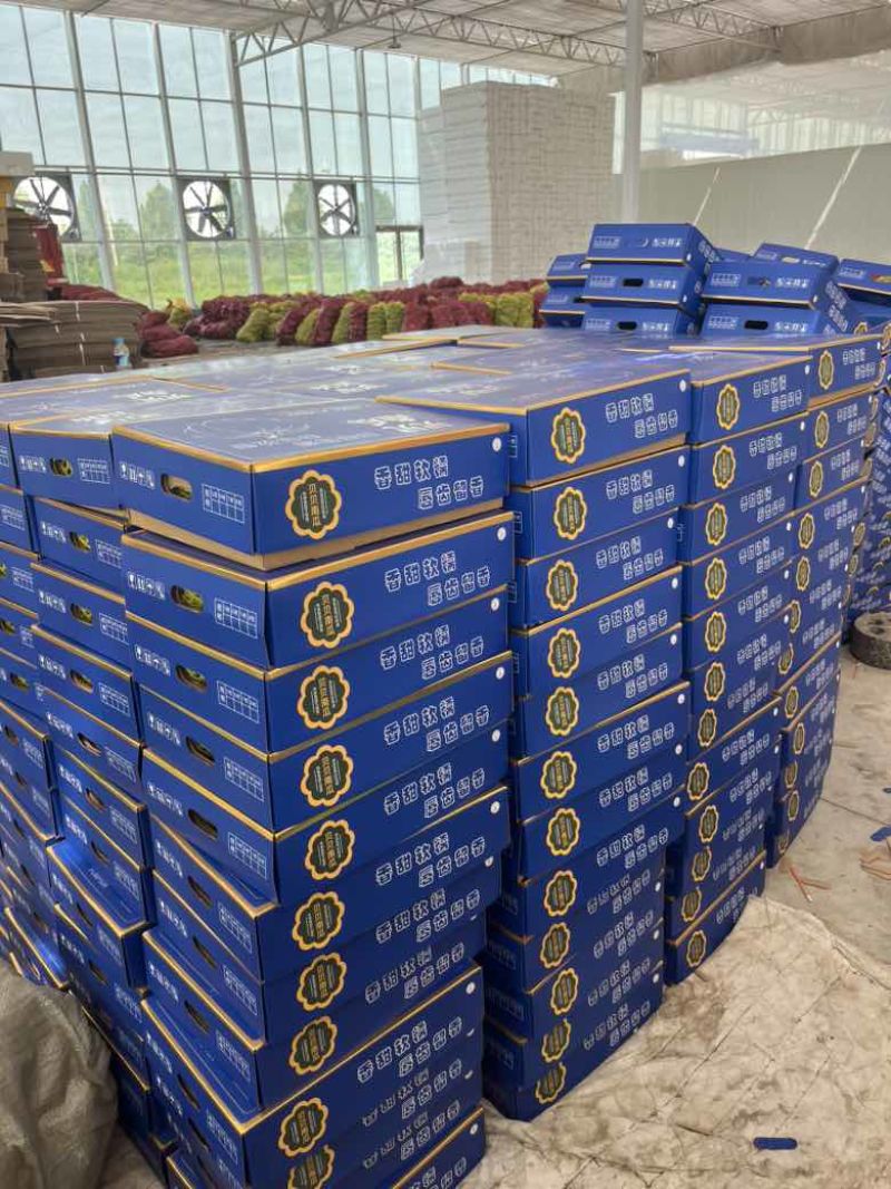 精品贝贝礼盒专业代发，集采，落地配，商超