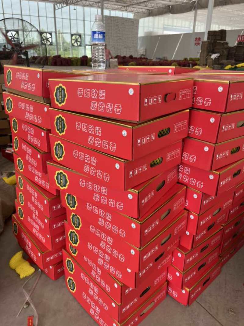 精品贝贝礼盒专业代发，集采，落地配，商超