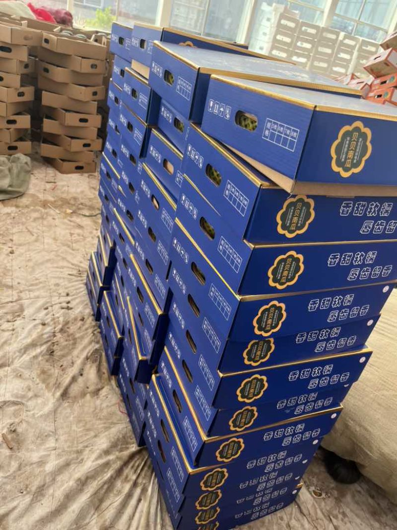 精品贝贝礼盒专业代发，集采，落地配，商超