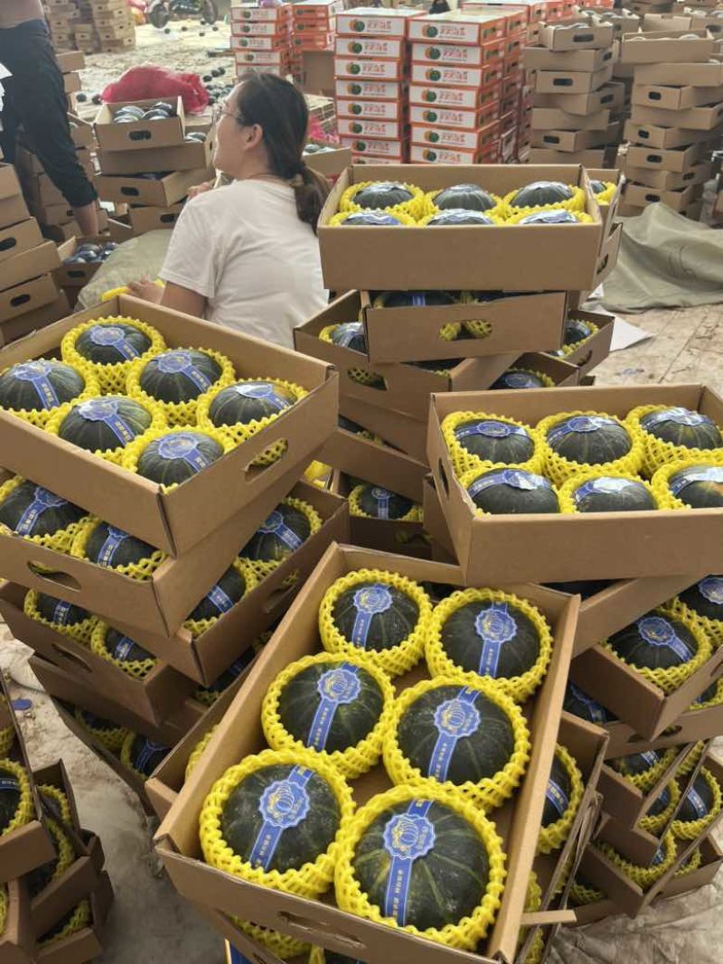 精品贝贝礼盒专业代发，集采，落地配，商超