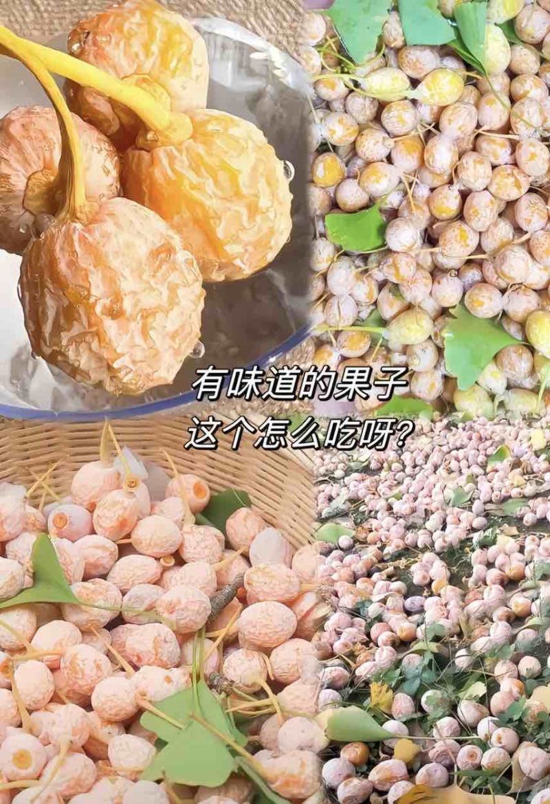 腾冲本地软糯白果