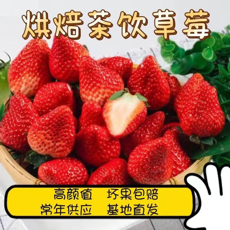 云南四季商用草莓（快递包邮）