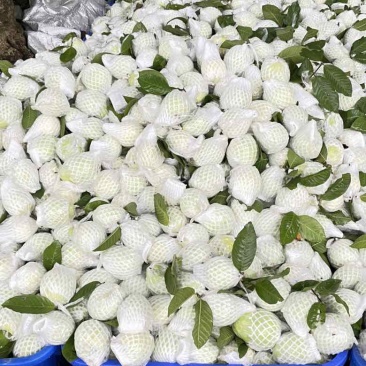 大量现货，需要请联系