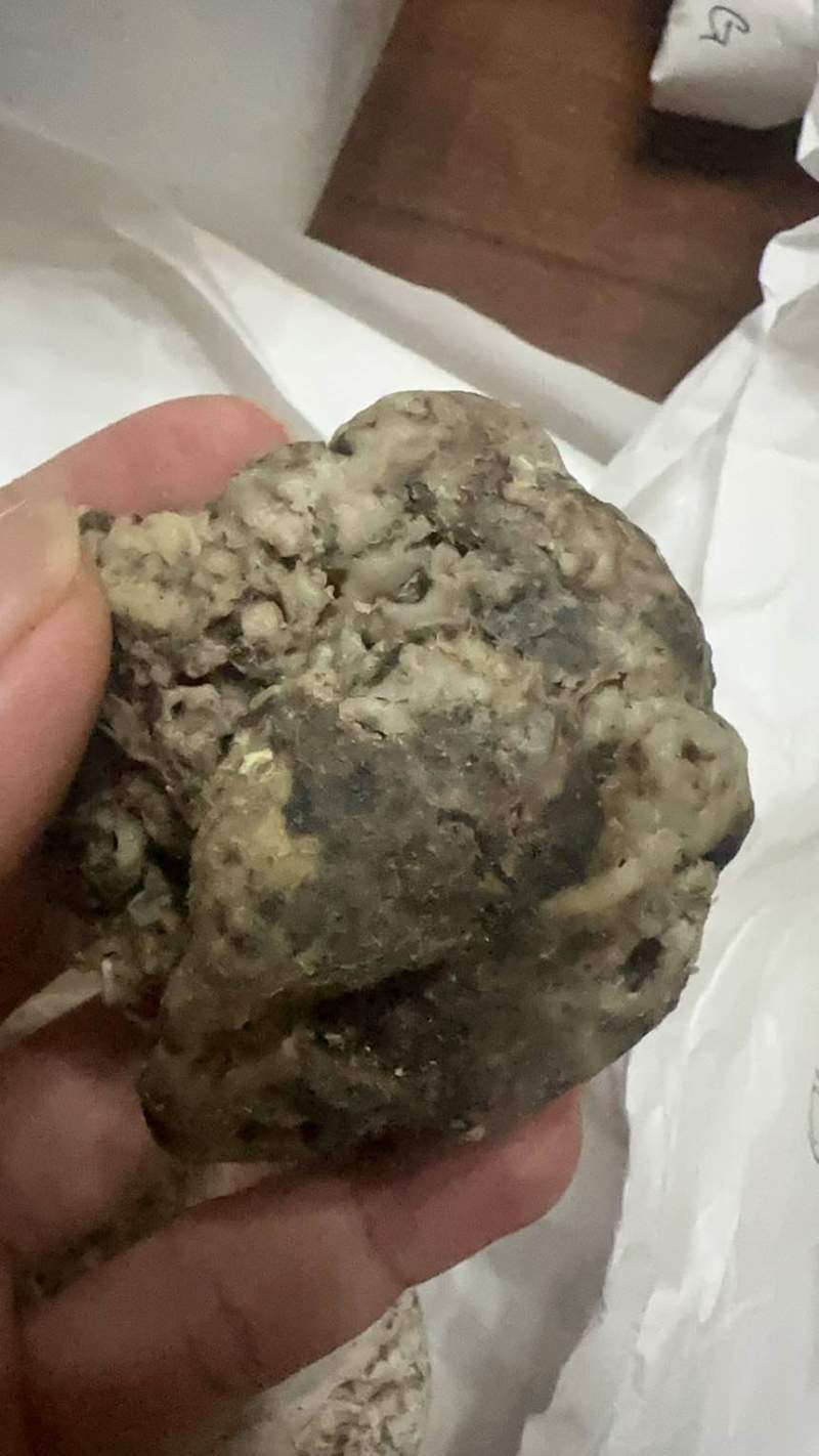 灰龙涎香-价格面议
