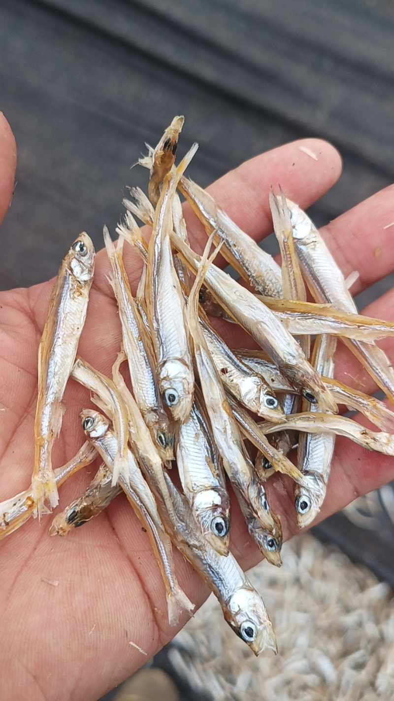 公鱼干油炸公鱼4一6公分东北贷