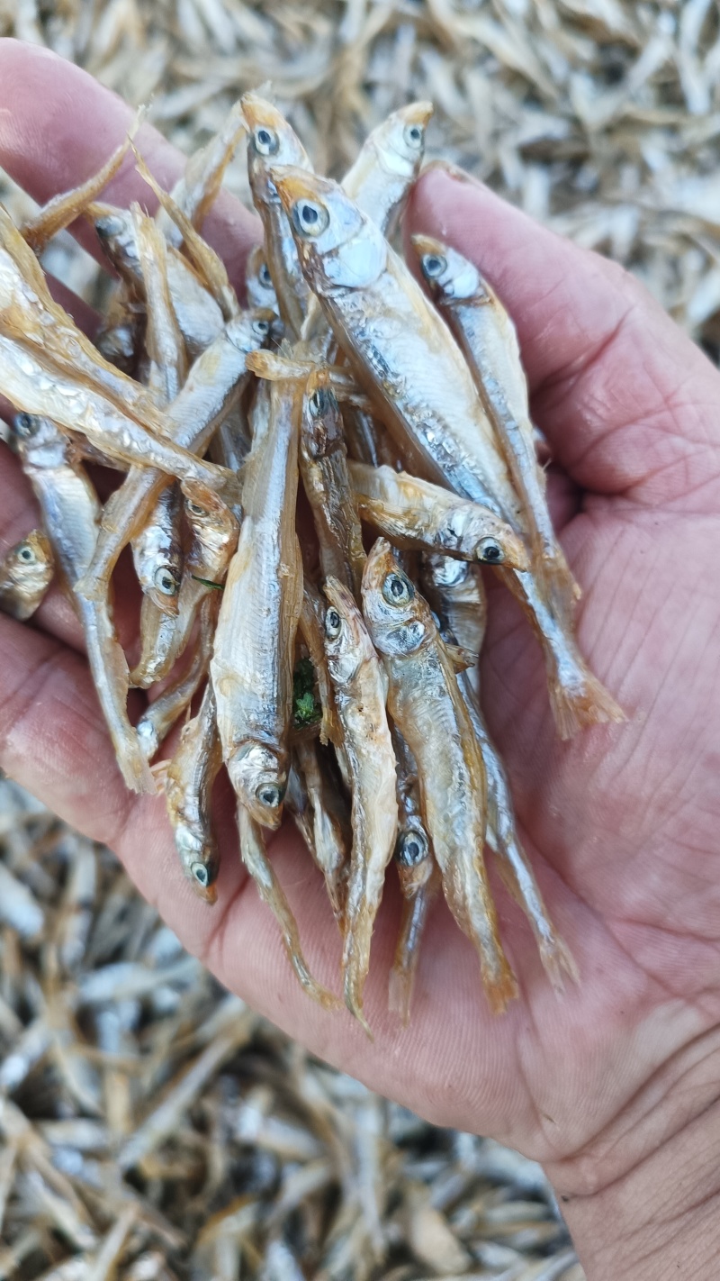 公鱼干油炸公鱼4一6公分东北贷