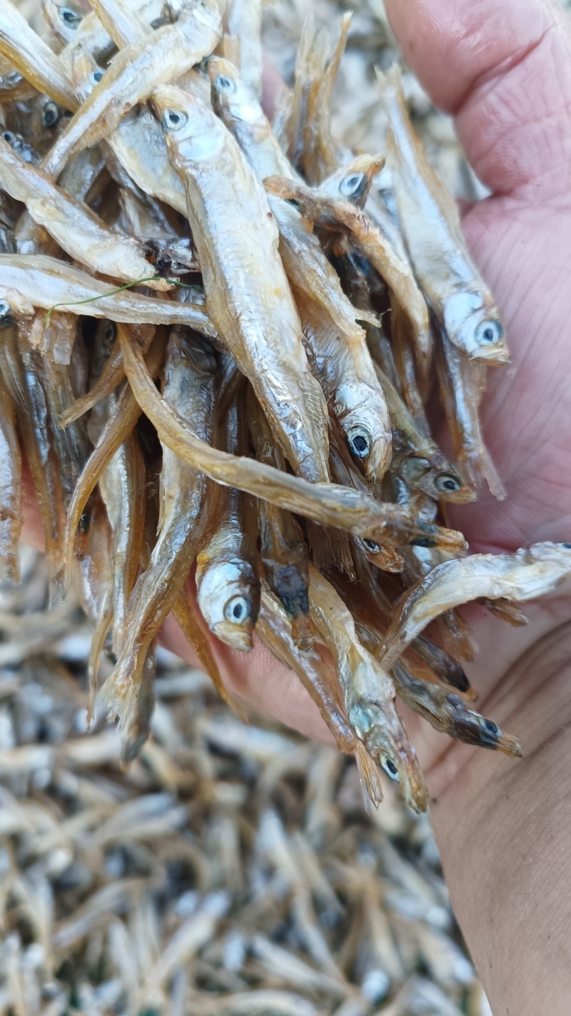 公鱼干油炸公鱼4一6公分东北贷