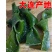 精品海带丝，海带头，海带扣，大连旅顺源头产地，厂家直供