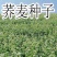 荞麦带壳荞麦农家自种当季新货散装