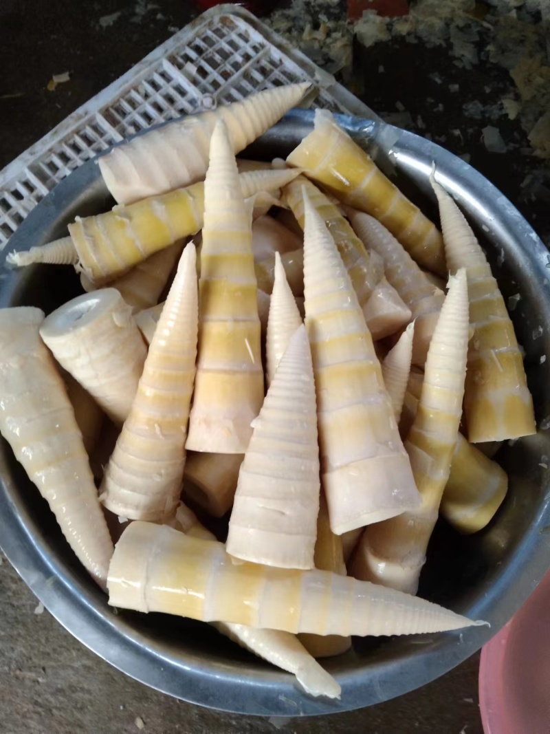 笋干，泡发笋干，罐头笋