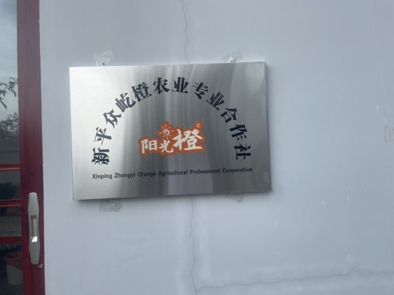 冰糖橙云南新平基地直发，按件发货，日产200吨，精品出货。