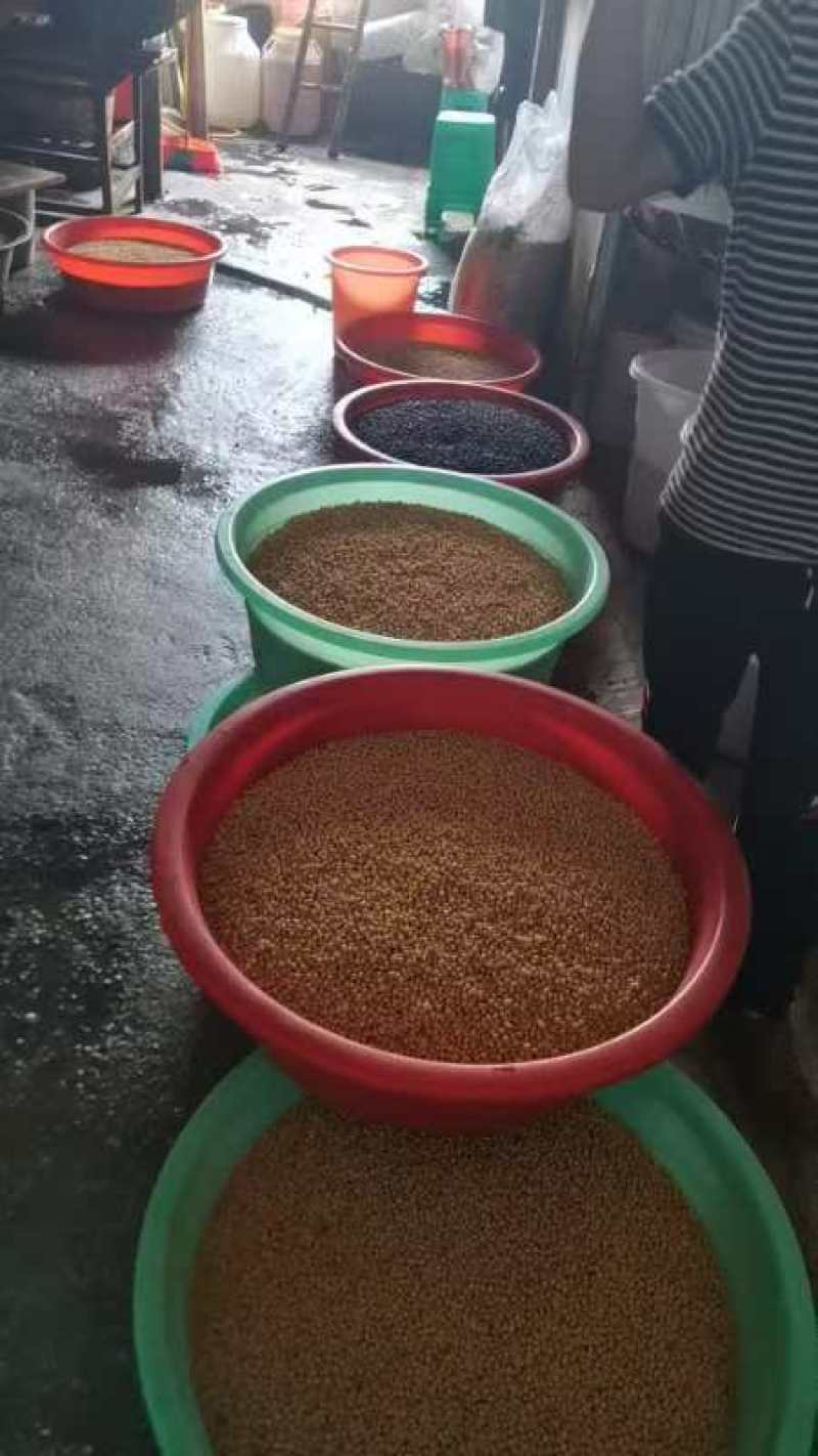 开阳酸汤豆腐