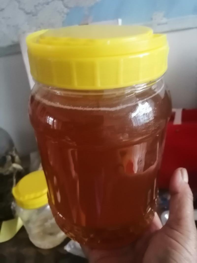 椴树蜜，蜂巢蜜，百花蜜