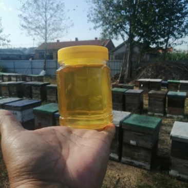 椴树蜜，蜂巢蜜，百花蜜