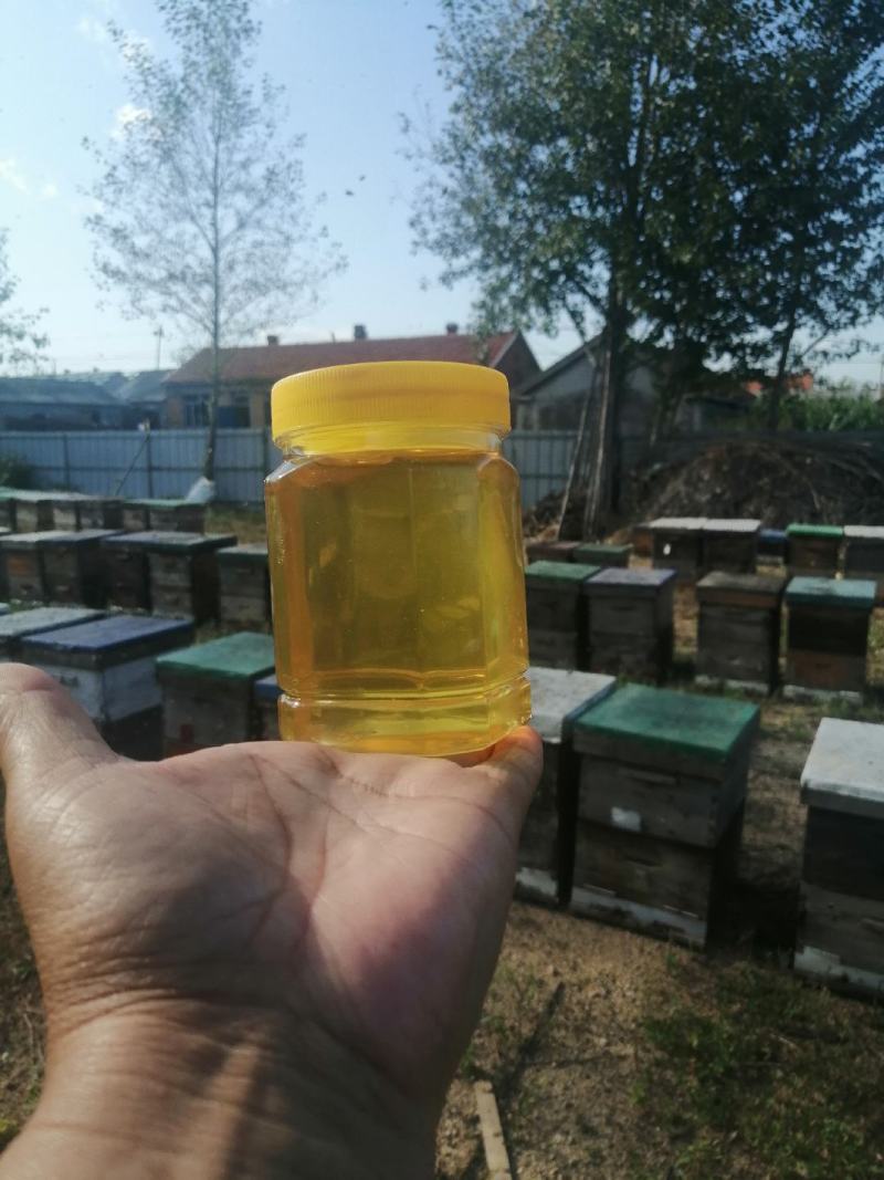 椴树蜜，蜂巢蜜，百花蜜