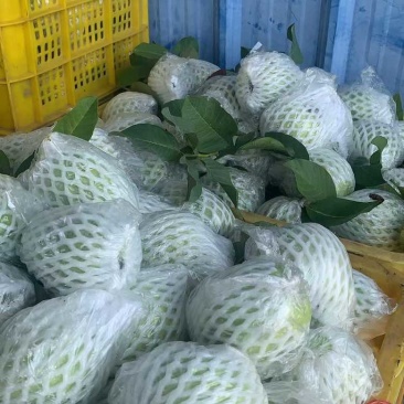 精品好货