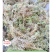 优质特级水苔