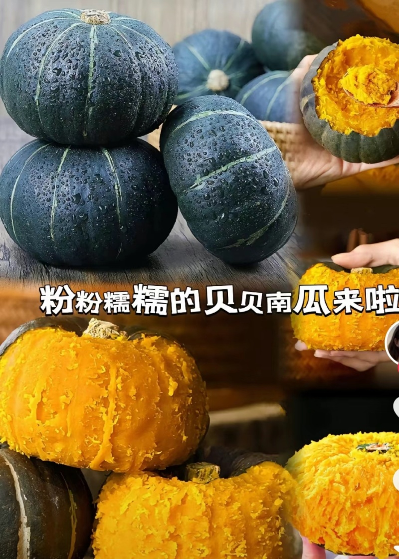 贝贝南瓜