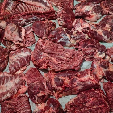 马肉