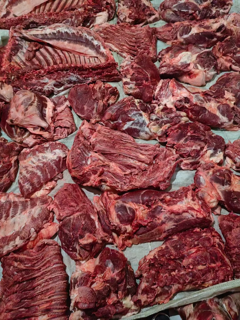 马肉