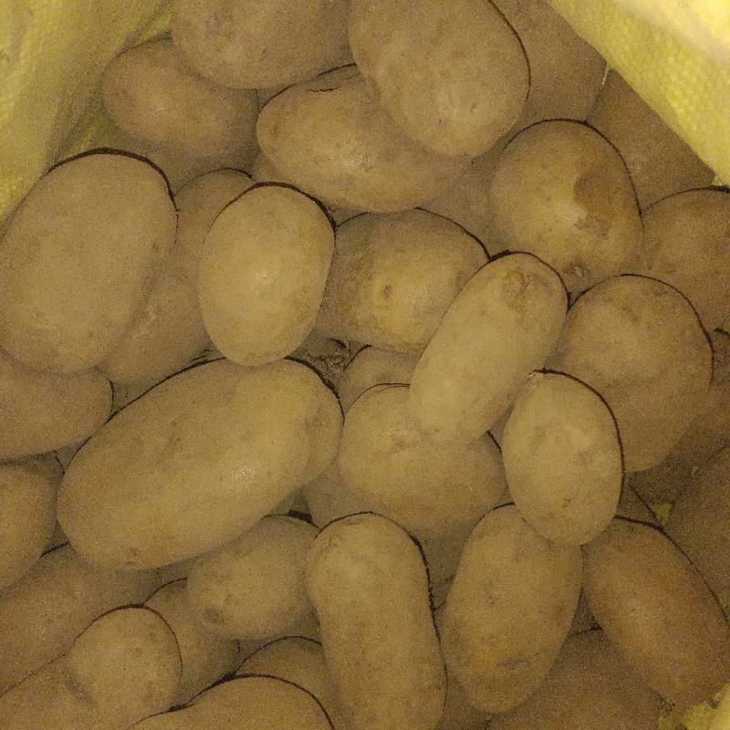需要老板可以看货谈价
