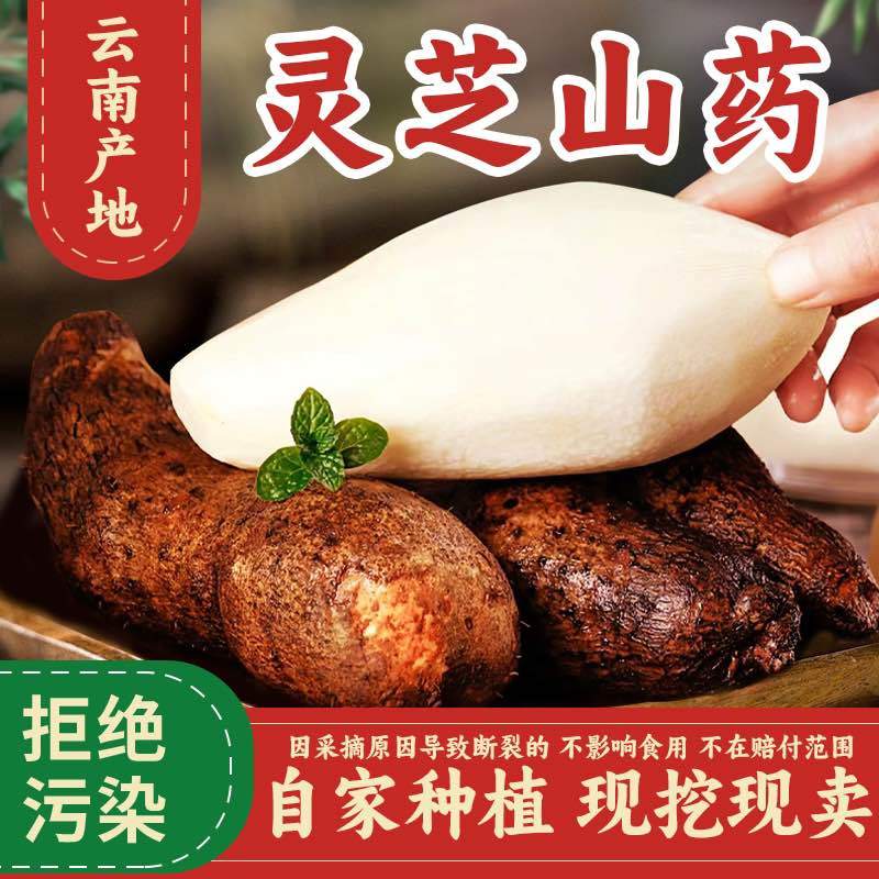 云南林之山药大量有货