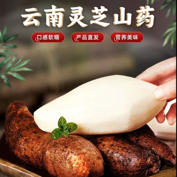 云南林之山药大量有货