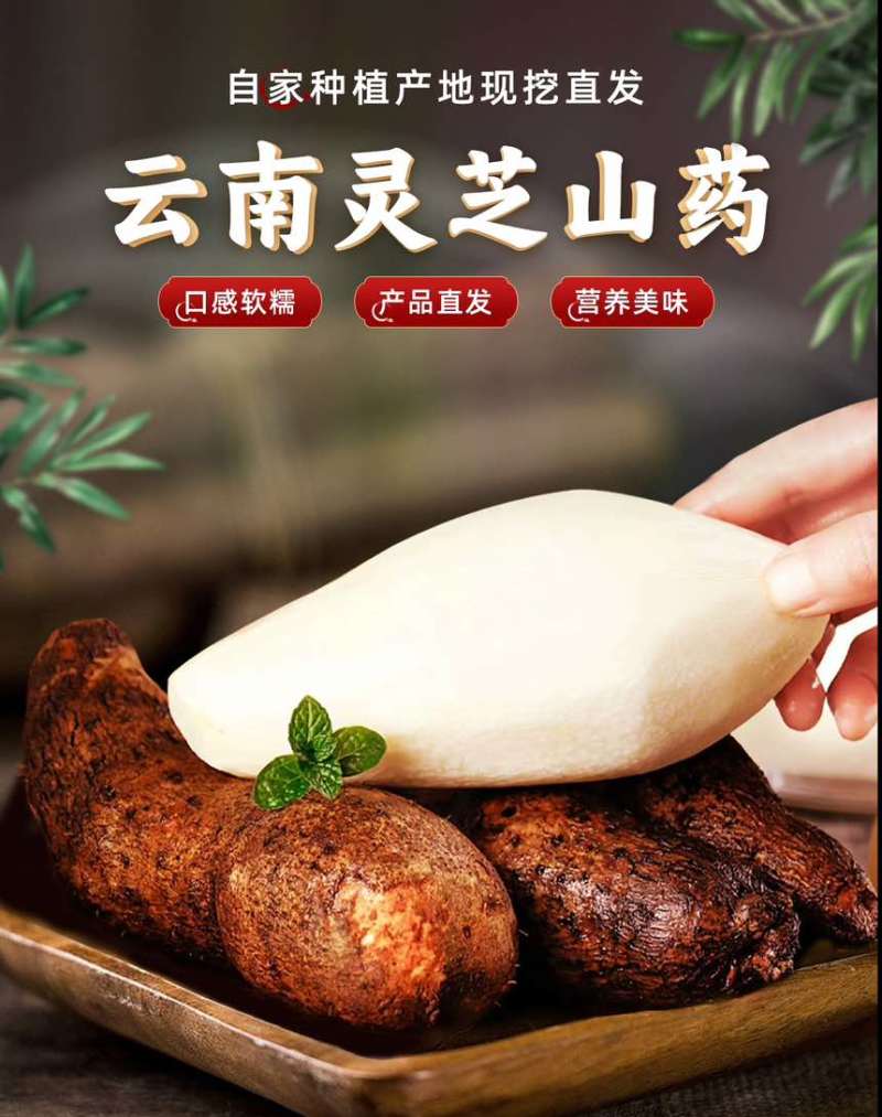云南林之山药大量有货