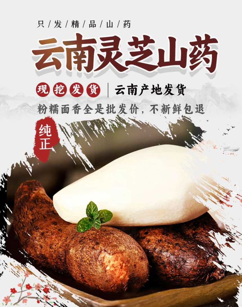 云南林之山药大量有货