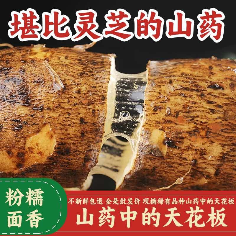 云南林之山药大量有货