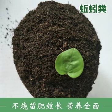发酵蚯蚓粪