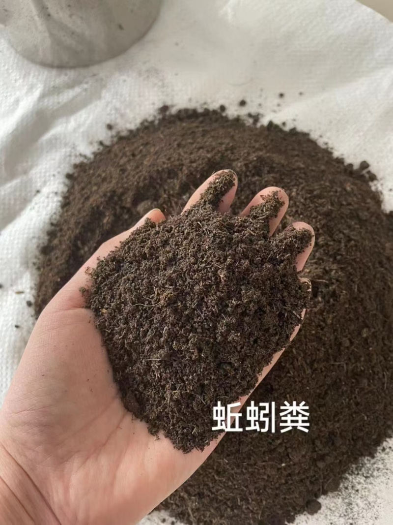 发酵蚯蚓粪