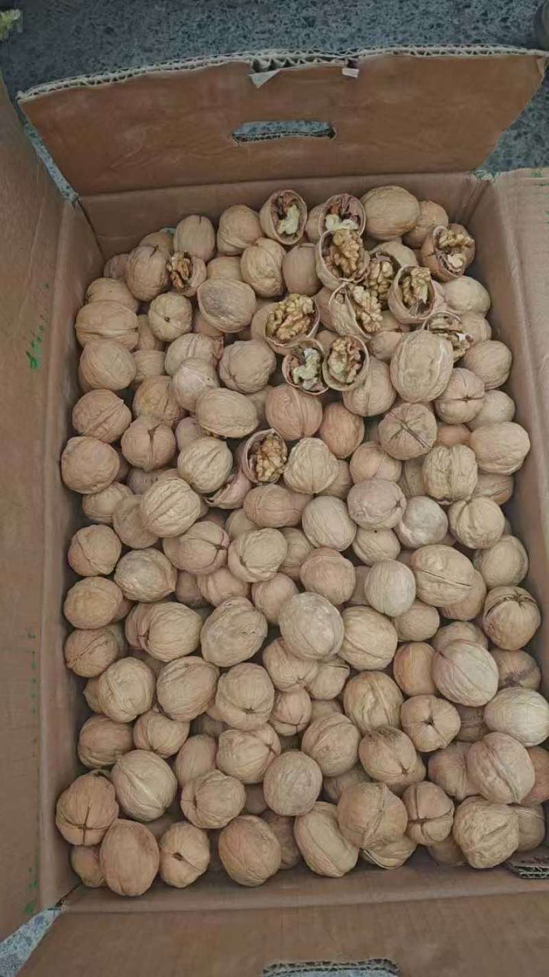 24年新货新疆185薄皮核桃中大个现货