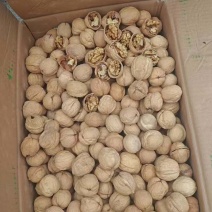 24年新货新疆185薄皮核桃中大个现货