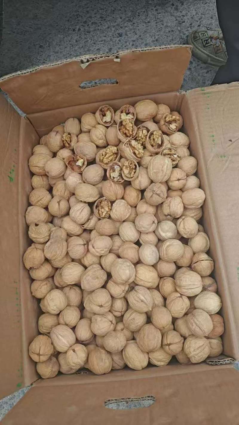 24年新货新疆185薄皮核桃中大个现货