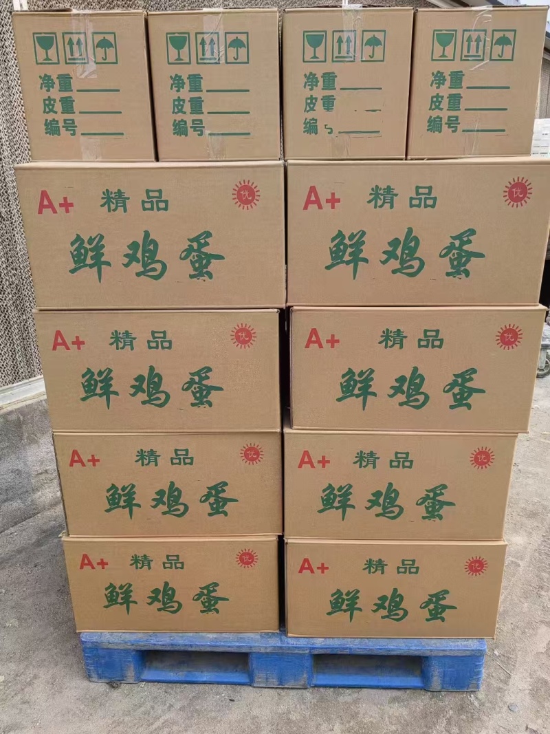 新鲜鸡蛋